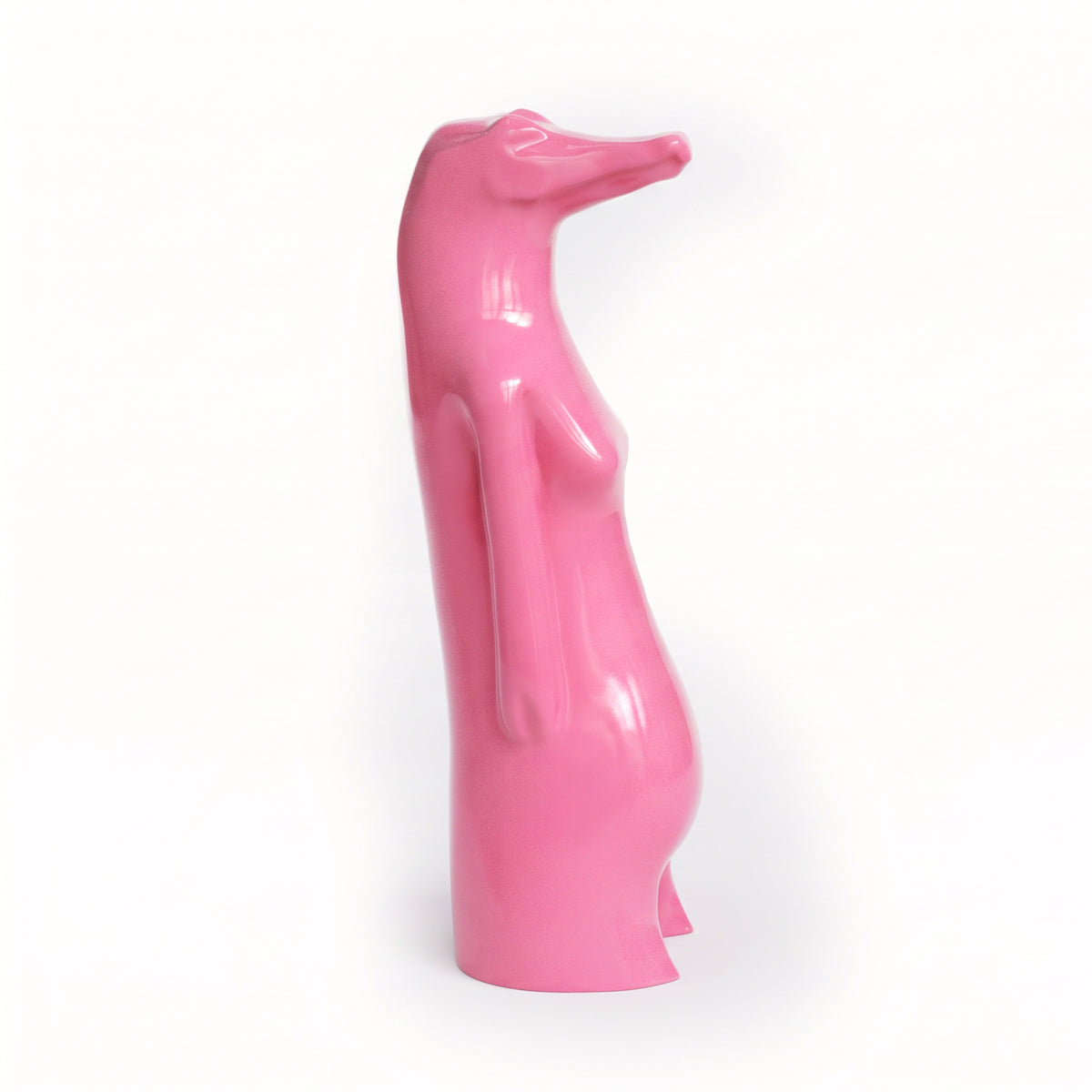 The Pink God Taweret